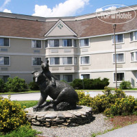 Black Bear Inn Conference Center & Suites 3*