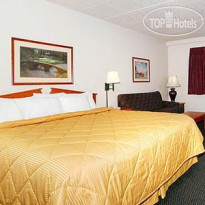 Comfort Inn Rochester 