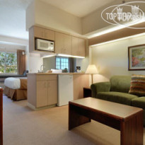 Microtel Inn & Suites by Wyndham Bloomington/Minneapolis 