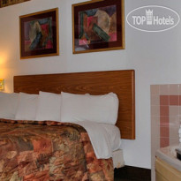 Asteria Inn & Suites  