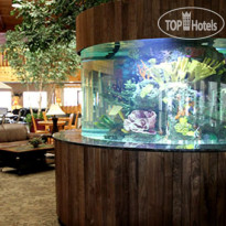 C'mon Inn Hotel & Suites Thief River Falls Лобби