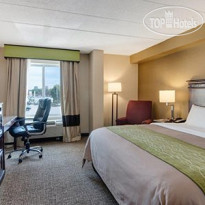 Comfort Inn Airport Manchester 