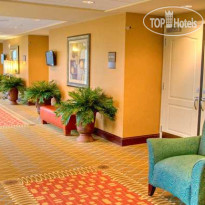 Hilton Garden Inn Clarksville