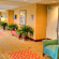Hilton Garden Inn Clarksville 