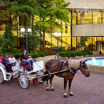 Sheraton Memphis Downtown  