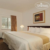 Econo Lodge Inn & Suites Fairgrounds Стандартный номер