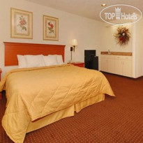 Comfort Inn Waverly 