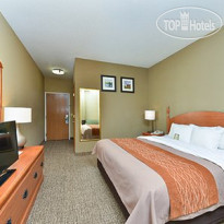 Comfort Inn Walcott 