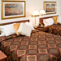 Best Western Kelly Inn 