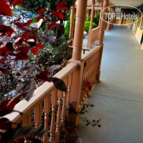 Red Carpet Inn & Suites Cheshire 