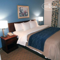 Comfort Inn & Suites Lees Summit Kansas City 