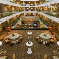 Hilton Lexington Suites 