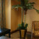 Homewood Suites by Hilton Fayetteville 