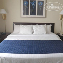SpringHill Suites Bentonville