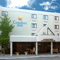 Comfort Inn Airport Warwick 2*