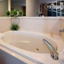 Comfort Inn & Suites East 