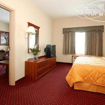 Comfort Inn & Suites East 
