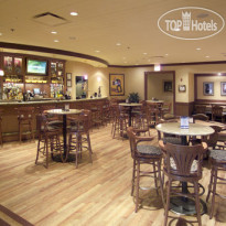 Holiday Inn Chicago SW-Countryside Confctr