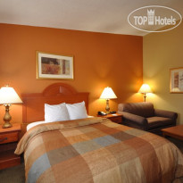 Best Western Morton Grove Inn 