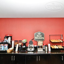 Best Western Saluki Inn 