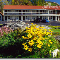 White Mountain Motel And Cottages 