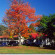 White Mountain Motel And Cottages 