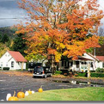 White Mountain Motel And Cottages 