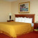 Quality Inn Suffolk 