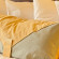 Hilton Garden Inn Dulles North 