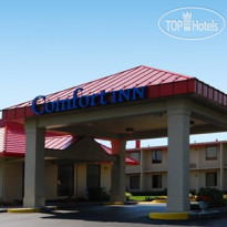 Comfort Inn Winchester 