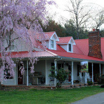 Blue Ridge Manor Bed and Breakfast 