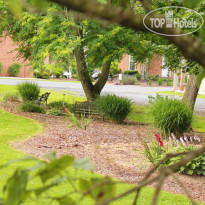 The Collins House Inn 