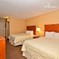 Comfort Inn & Suites Alexandria 