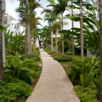 The Palms Resort Сад