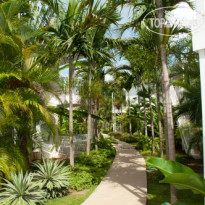 The Palms Resort Сад