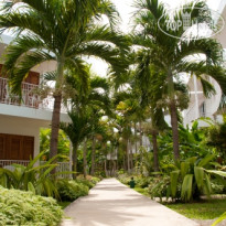 The Palms Resort Отель