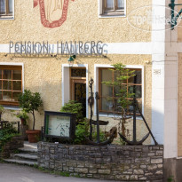 Hallberg Pension 