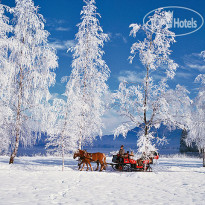 Landhaus Zu Appesbach Катание на санях