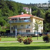 Plattenwirt