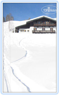 Новые добавленные фото туристов Landhaus Bernkogel