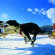 Alpentraum Езда на собачьих упряжках