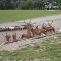 Hopfgarten 