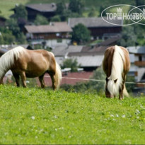 Kiendlerhof Пастбище