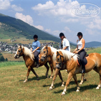 Garni Philipp