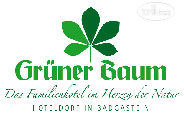 Фотографии отеля  Gruner Baum 4*