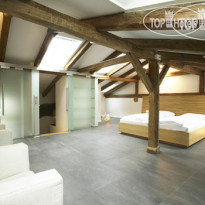 Arthotel Blaue Gans 