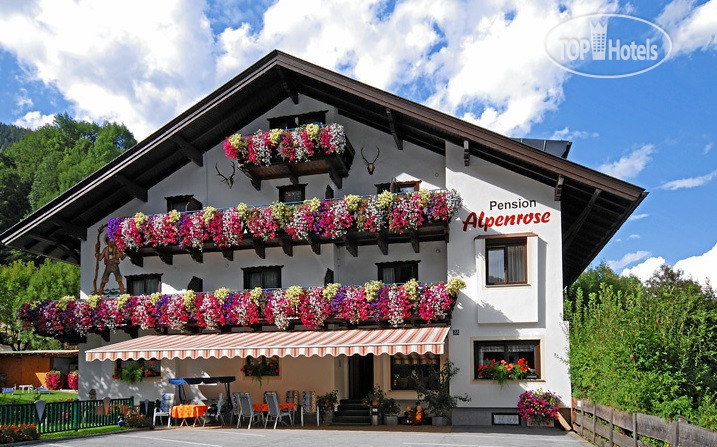 Фотографии отеля  Pension Alpenrose 3*