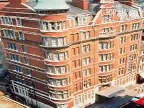 The Kingsley