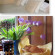 Craigmoss Guest House 