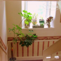 Riverview Guest House 